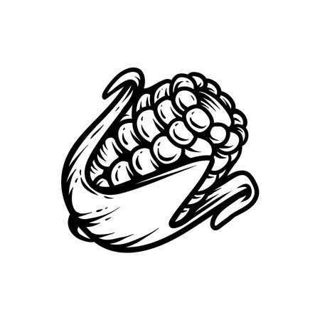 Hand drawn corn. Vector illustration of a corn on white background.のイラスト素材