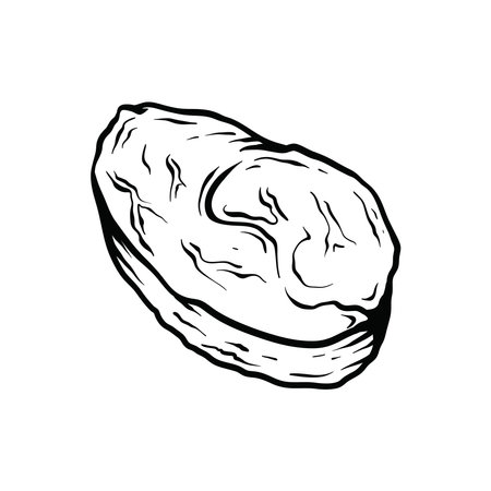Beef. Hand drawn vector illustration on white background. Sketch style.のイラスト素材