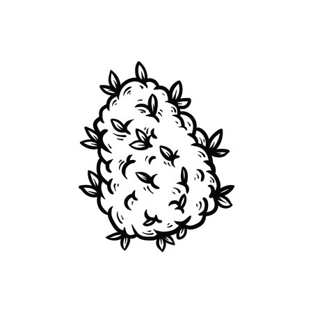 Prickly pear with leaves. Hand drawn doodle vector illustration.のイラスト素材