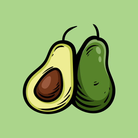 Avocado vector illustration. Avocado icon. Avocado hand drawn.のイラスト素材