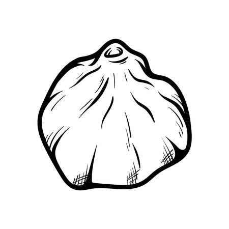Hand drawn dumpling dimsum. Black and white vector illustration isolated on white backgroundのイラスト素材