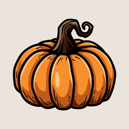 Pumpkin vector illustration. Hand drawn illustration of a pumpkin.のイラスト素材