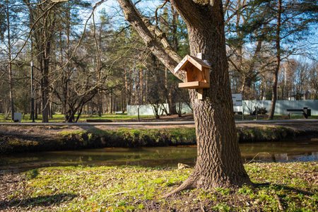 A charming birdhouse is hung from a tree branch, set against the backdrop of a serene river or stream and lush forest.の写真素材