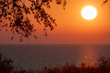 Beautiful serene scene of a sunset over the ocean with trees in foreground.の写真素材