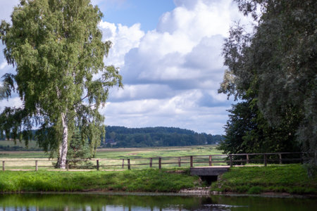 A serene rural scene featuring a small wooden bridge over water and lush green fields extending into...