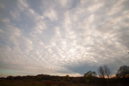 Clear blue sky with scattered clouds and trees in the distance.の写真素材