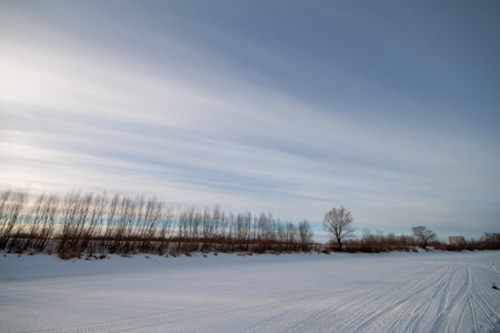 Snowy landscape with bare trees and blue sky.の写真素材