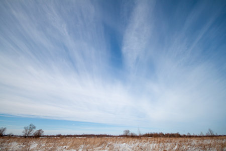 A panoramic shot of an open countryside with a clear horizon and scattered clouds above.の写真素材