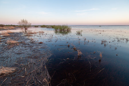A flooded marsh with water reflecting the sky at dusk.