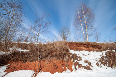 A tranquil hillside covered in fallen leaves and patches of snow, illuminated by the warmth of autumn sunlight.の写真素材