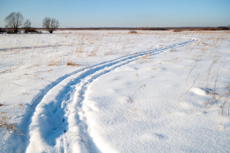 A serene scene of untouched snow in a field with a trail leading off into the distance under a clear sky.の写真素材