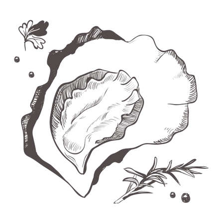 Mollusc with spices and spices. Black and white illustration of oyster isolated on a white background. Vector graphics of shellfish.のイラスト素材