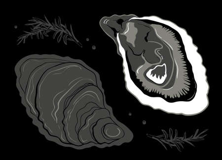 Hand drawn oysters black background. Vintage oyster shell illustration, great design for any purposes. Gourmet food. Vector icon. Linear sketch for restaurant and cafe menu.のイラスト素材