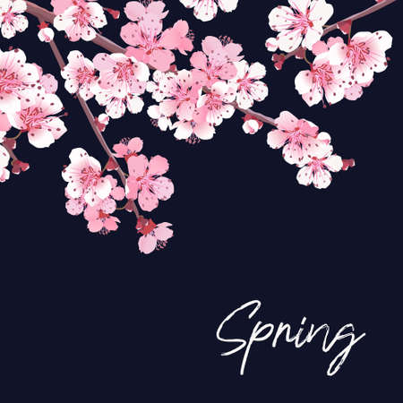 Vector romantic spring illustration. Invitation template with pink sakura. Floral greeting card. Beautiful print with blossoming dark and light cherry flowers on blue sky. Japanese wedding style.のイラスト素材