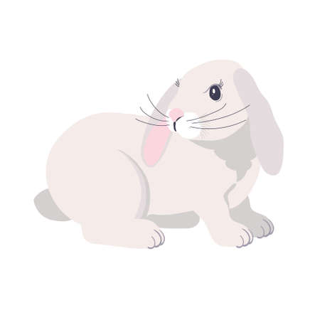 White fluffy rabbit with drooping ears. Cute Bunny for an Easter card. Design for the mid-autumn holiday. Isolated on a white background.のイラスト素材