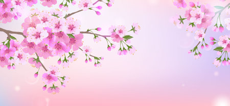Spring soft background with a branch of cherry blossoms. Blooming cherry blossoms. Natural design.の写真素材