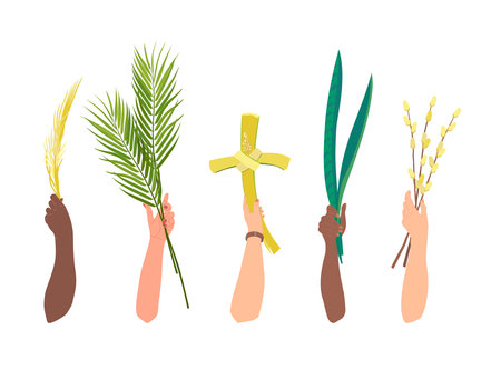The concept of the celebration of palm Sunday. Customs of different peoples of the world. The hands of people of different nationalities are raised with palm branches, sansevieria and a cross.のイラスト素材