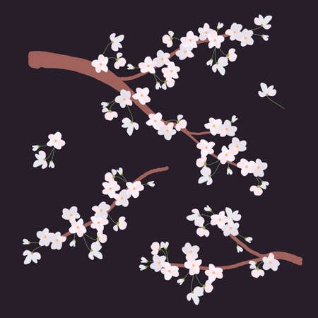 White cherry branches in a flat style. Delicate cherry flowers for greeting cards for Mothers Day, International Womens Day. Vector clipart. Japanese traditional Hanami Festival.のイラスト素材