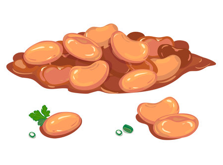 Canned beans isolated on white backgroundのイラスト素材
