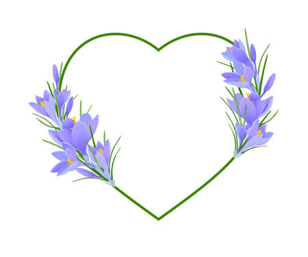 realistic crocuses and a pink heart on a white backgroundのイラスト素材
