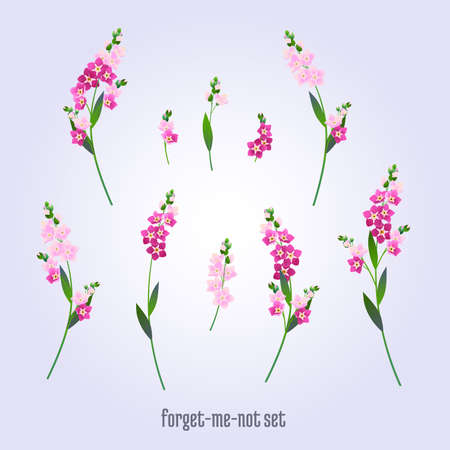 Set of wedding elements, forget-me-notsのイラスト素材