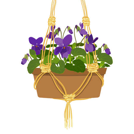 A bush of forest violets in a pot. Vectorのイラスト素材