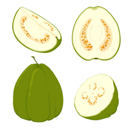 Whole and pises fresh guavaのイラスト素材