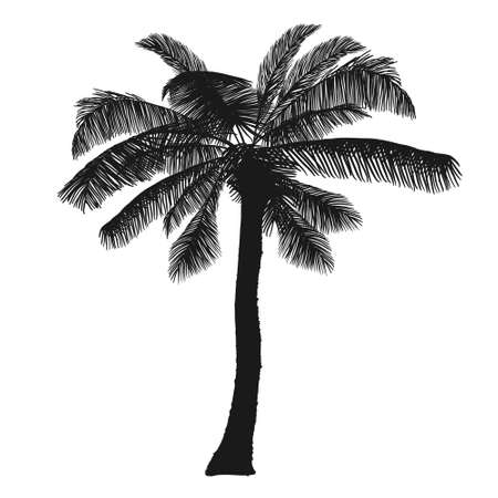 Black palm tree vector clipart on a white backgroundのイラスト素材