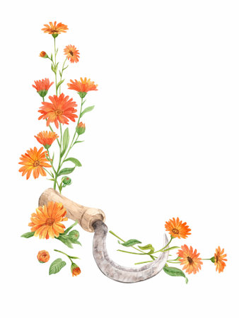 Sickle, watercolor on whiteの写真素材