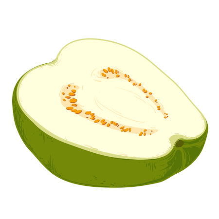 pise fresh guava. Vector illustration.のイラスト素材