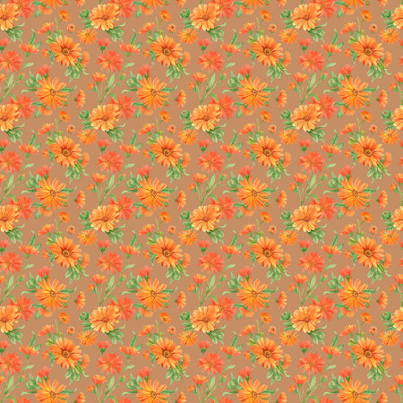 Calendula flowers on white, patternの写真素材