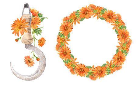 Sickle, wreath of marigold flowersの写真素材