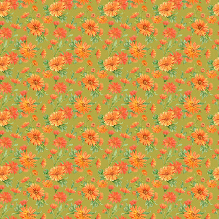 Calendula flowers on white, patternの写真素材
