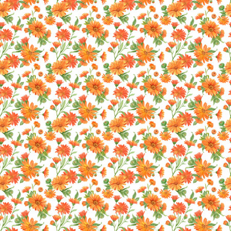 Calendula flowers on white, patternの写真素材