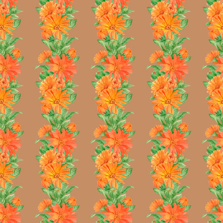 Calendula flowers on white, patternの写真素材