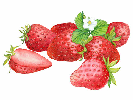 strawberries with strawberry leaf on white backgroundの写真素材