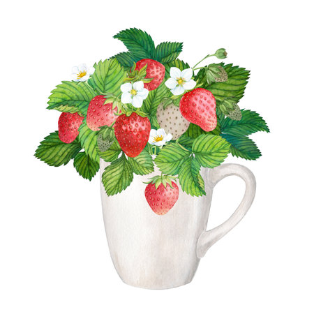 Red strawberry and cup watercolorの写真素材
