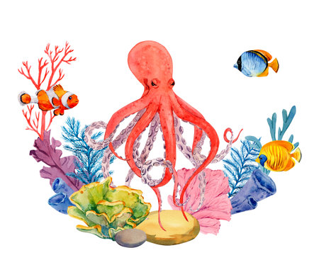 Coral reefs with tropical fish, rocks and algae. Composition with orange octopus. Bright watercolor illustration. The plot for the design of banners, souvenirs, postcards, posters, design and printingの写真素材