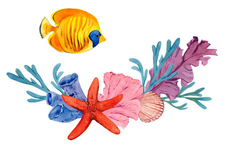 Coral reefs with tropical fish, rocks and algae. Bright watercolor illustration. The plot for the design of banners, souvenirs, postcards, posters, design and printingの写真素材
