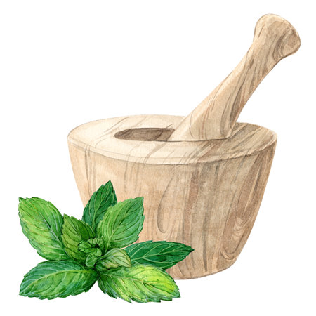 Wooden mortar and sprig of mint. Watercolor illustration in a rustic style. The concept of a home laboratory for the production of tea, herbal medicines.の写真素材