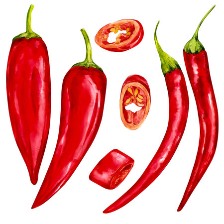 Set of red hot chili peppers. Bright shiny vegetables on a white background. Watercolor illustrations for menu design, textiles, packaging.の写真素材