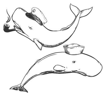 A sperm whale in the form of a captain with a smoking pipe and a cap, in a sailor panama. Caricature of the captain and sailor, chief and subordinate in the navy. Vector for tattoos, t-shirts.のイラスト素材