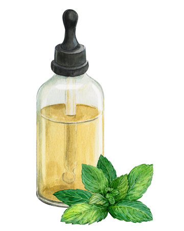 A bottle of essential oil and a mint branch on a white background. Watercolor illustration. Composition for the design of phytopreparations. Botanical drawing.の写真素材