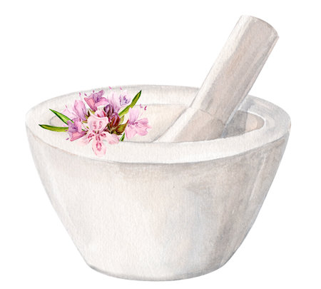A white mortar for chopping herbs and thyme flowers. Watercolor illustration. Preparation of herbal tea, tonic. The concept of phytotherapy, laboratory. Composition for the design of labels.の写真素材