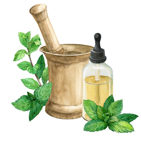 A bottle of mint essential oil on a white background and an antique copper mortar for herbs. Green fresh lemon balm leaves. Watercolor illustration. Composition for the design of phytopreparations.の写真素材