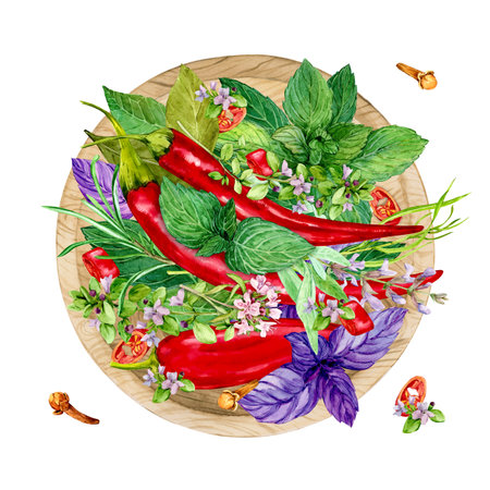Colorful herbs for cooking: basil, tarragon, thyme, chili, cloves, mint, bay leaf and rosemary. Watercolor illustration. Provence spices in a wooden plate, top view.の写真素材