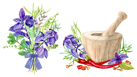 Bouquet of rosemary, marjoram, sage and thyme, basil, mint, tarragon. Spicy herbs and wood mortar. Watercolor illustration. Bay leaf, chili, cloves - ingredients of Italian cuisine. Provence style.の写真素材