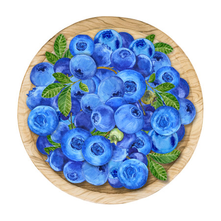 Blueberries in a bowl, watercolor. Ripe berries in a wooden plate on a white background, top view. Farm harvest, rustic style, botanical illustration. Clipart for packing yogurt, cookies, jam, menu.の写真素材