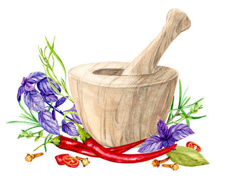 Spicy herbs and white granite mortar. Watercolor illustration. Bay leaf, rosemary, tarragon, savory, basil, chili pepper, cloves are traditional ingredients of Italian cuisine. Clipart for menu.の写真素材