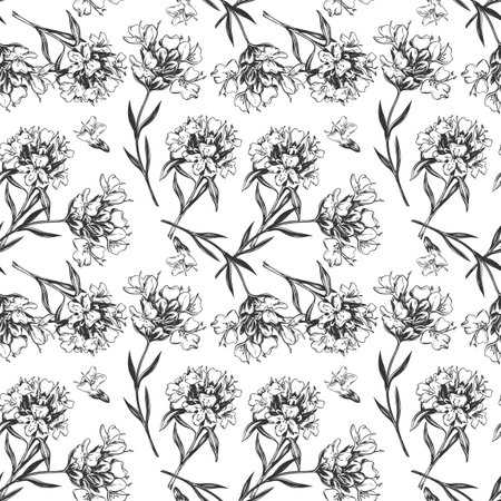 Thyme branch vector illustration isolated on white. Seamless floral pattern. A spicy ingredient in tea and Mediterranean cuisine. Herbs design for tea packaging, cosmetics, kitchen textiles, menu.の写真素材